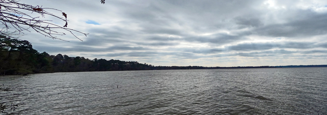 Steinhagen Reservoir from Slough Trail