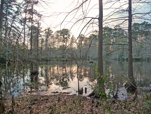 Almost sunset Gum Slough