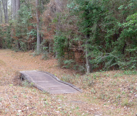 Little bridge on Slough Trail