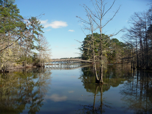 Island Trail view of Wildlife Trail viewing pier