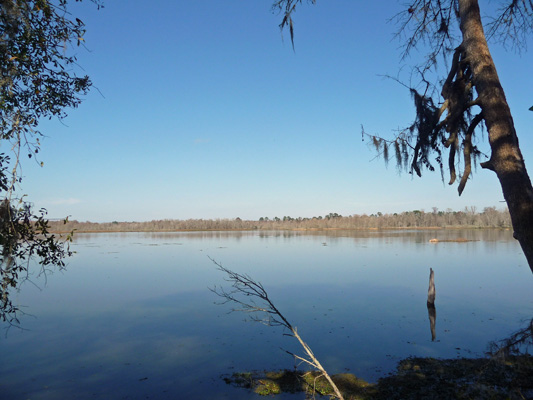 Steinhagen Reservoir from Island Trail