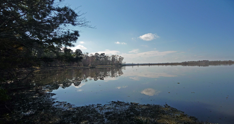 Steinhagen Reservoir from Island Trail