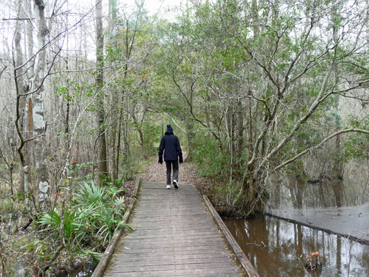 Walter Cooke bridge Slough Trail