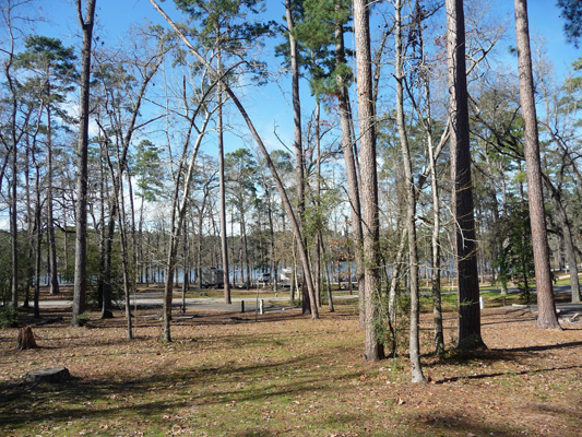 Huntsville SP campsite view