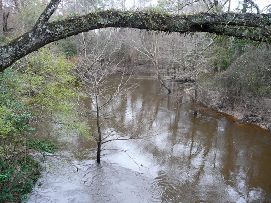 Village Creek Kirby Nature Trail