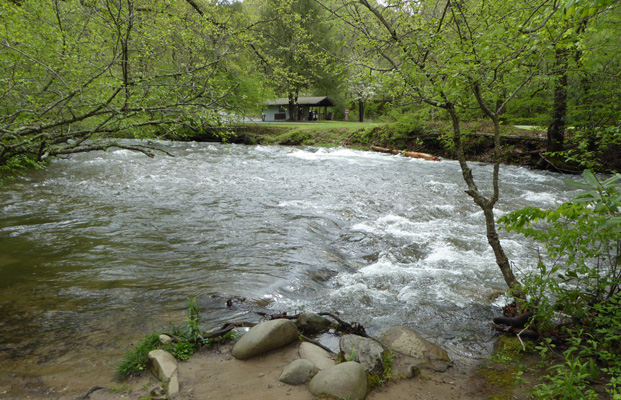 Deep Creek Great Smoky Mt NP