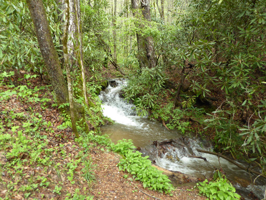 Cascade along Juney Whank trail