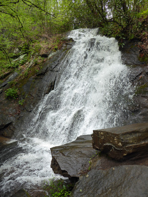 Juney Whank Falls