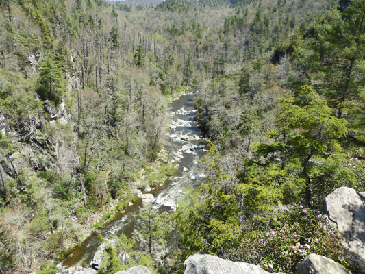 Linville Gorge