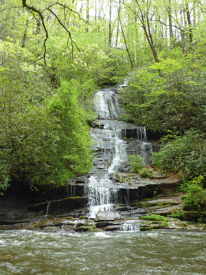 Tom Branch Falls