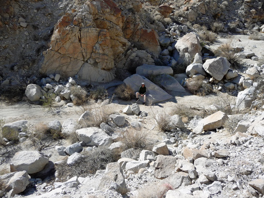 Walter Cooke in botom of Torote Canyon Anza Borrego