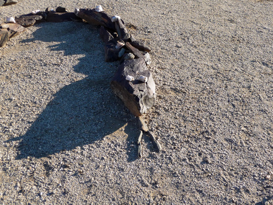 Head of Great Stone Snake Anza Borrego