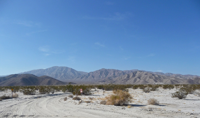 Elephant Tree Discovery Trail head Anza Borrego
