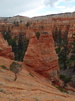 Hoodoo with caprock