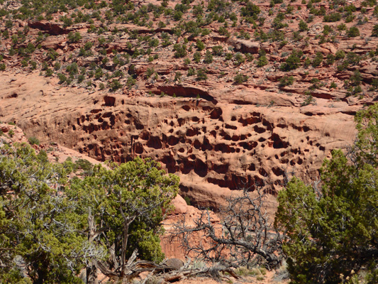 Burr Trail Long Canyon formations