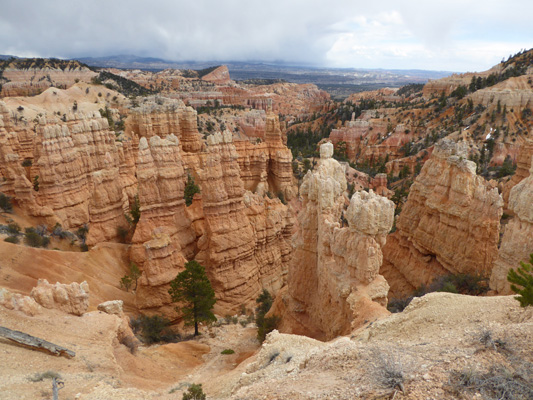 Fairyland Canyon view