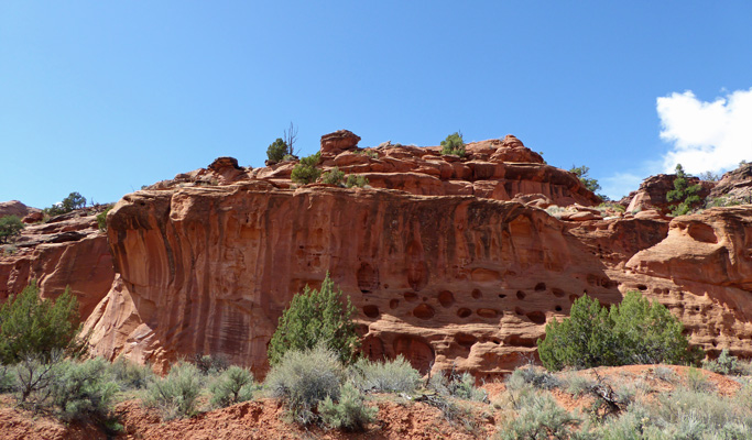 Burr Trail Long Canyon 