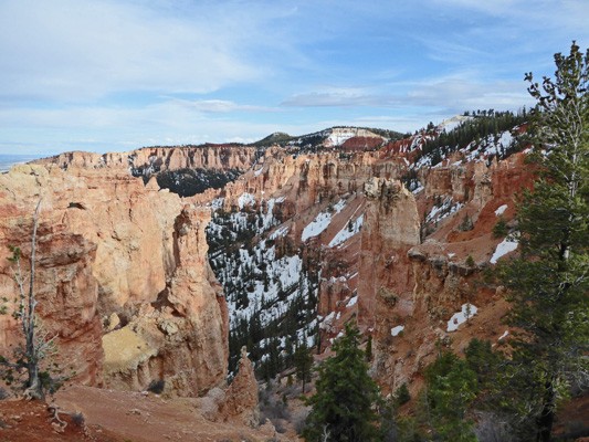 Black Birch Canyon view