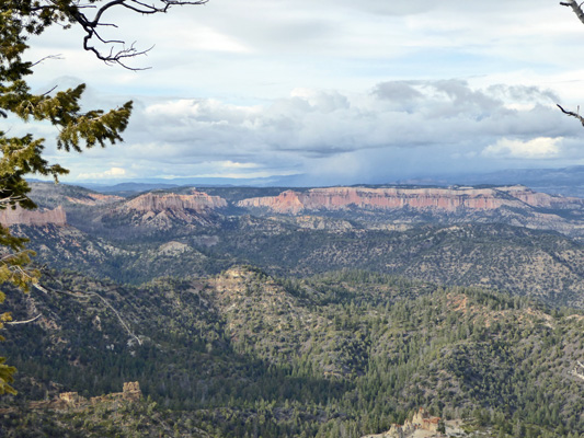 Black Birch Canyon view