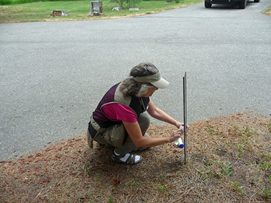 Sara Schurr cleaning reservation tag Buttercup Lake Cascade