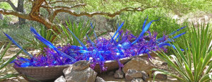 Boat full of Chihuly blue wands Phoenix Botanical Garden