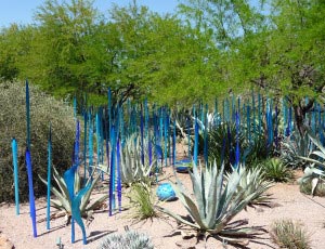 Chihuly glass wands and eggs Phoenix Botanical Garden