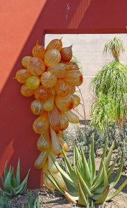 Chihuly Balloons Phoenix Botanical Garden