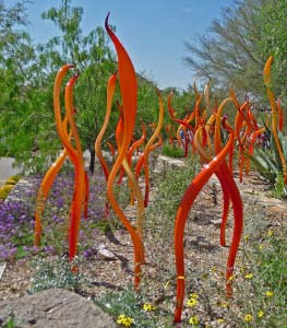 Orange Chihuly Glass at Phoenix Botanical Garden