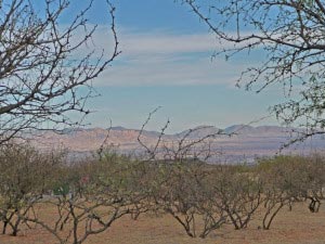 View from campsite at Kartchner Caverns