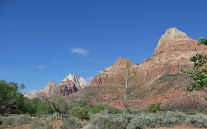 Campground view NE Zion National Park