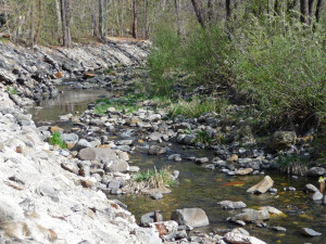 Oak Creek from Canyon Springs Campground