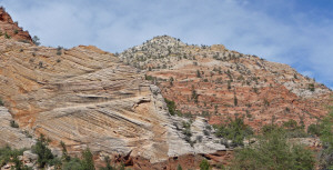 Checkerboard Mesa Zion National Park UT