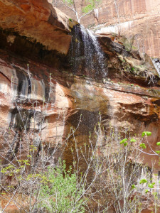 Emerald Pool falls Zion National Park