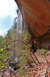 Under Emerald Pool Falls Zion National Park