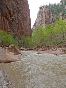 The Narrows looking south Zion National Park