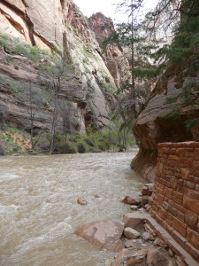 The Narrows Zion National Park