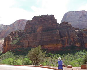 The Organ Zion National Park