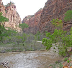 Riverside Walk Zion National Park