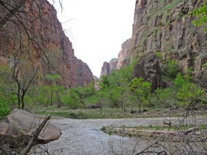 Riverside Walk Zion National Park