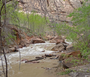 Riverside Walk Zion National Park