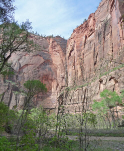 Riverside Walk Zion National Park