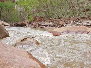 Virgin River at The Narrows Zion National Park