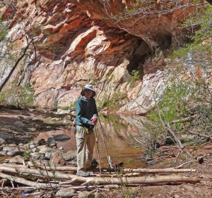 Walter crossing West Fork of Oak Creek Canyon Sedona AZ