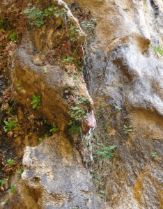 Weeping Rock Zion National Park