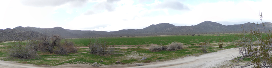 Blair Valley Anza-Borrego State Park CA