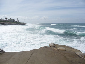 Surf south of the Children's Pool La Jolla CA