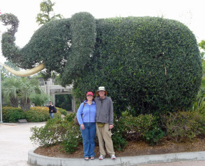 Tracy and Walter Cooke with elephant topiary at San Diego Zoo CA