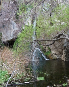 Darwin Falls Death Valley National Park CA