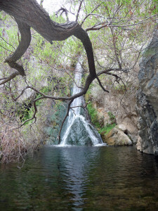 Darwin Falls Death Valley National Park CA