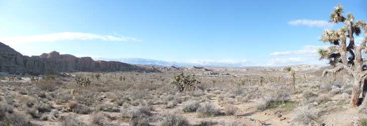 Valley view from Red Rock State Park CA